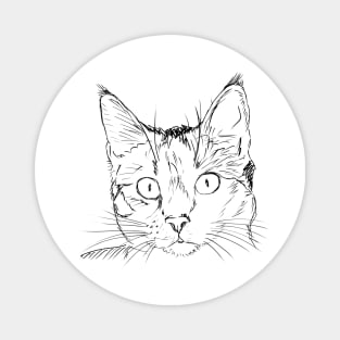 Funny cat design Magnet